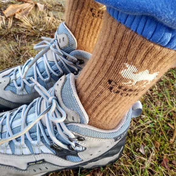 Camel wool socks - Picture 2 of 3